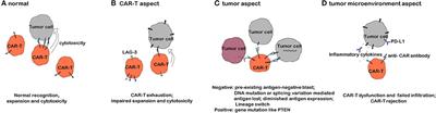 Understanding the Mechanisms of Resistance to CAR T-Cell Therapy in Malignancies